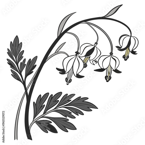 Dutchman’s Breeches Vector Illustration | Woodland Wildflower Botanical Artwork | Unique Spring Flower Design