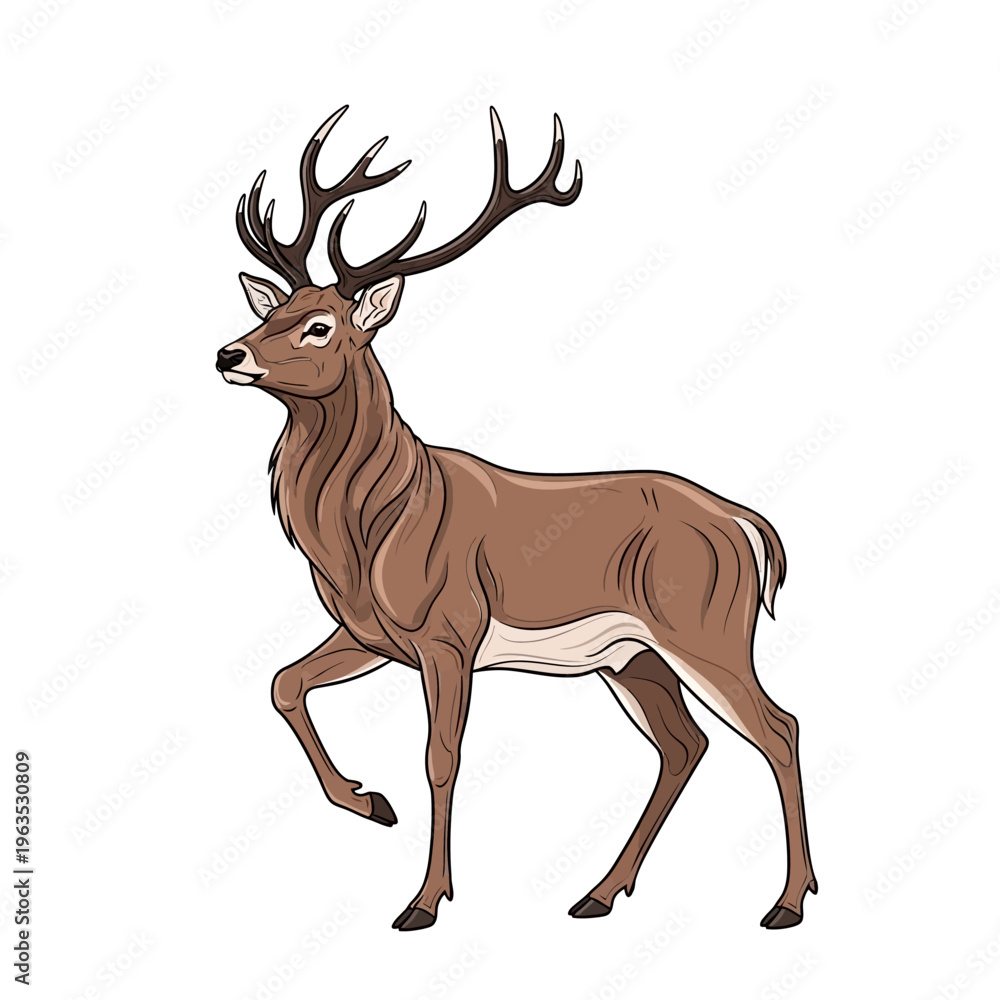 Obraz premium A brown deer with large antlers standing.
