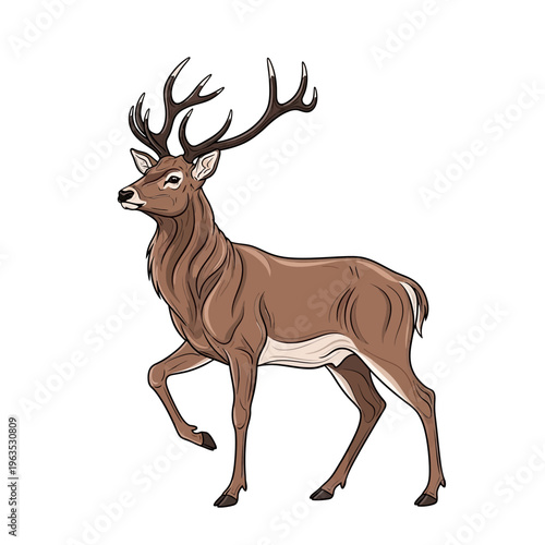 A brown deer with large antlers standing.