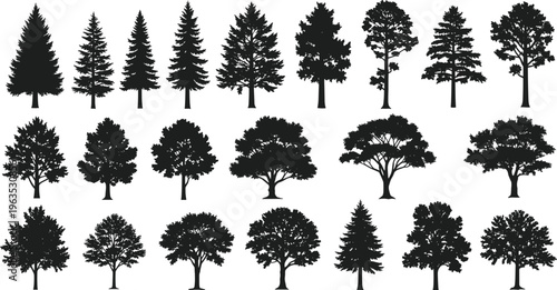 Large collection of detailed black tree silhouettes featuring pine, oak, fir, and deciduous trees isolated on white background for landscape design