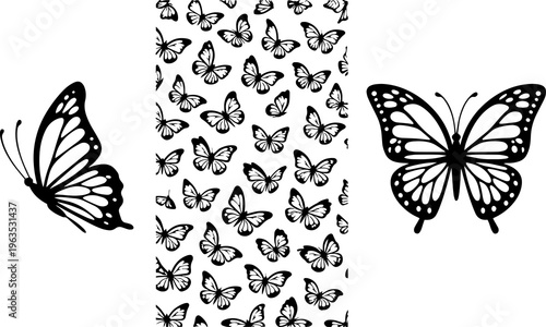 Butterfly Silhouette Vector Collection Isolated on White Background
