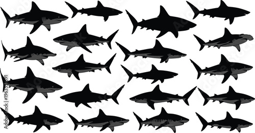 Large collection of shark silhouettes featuring great white, hammerhead, and bull sharks swimming isolated on white background for marine design