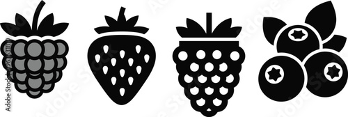 Berry icon silhouette set, raspberry strawberry blackberry blueberry, black and white fruit illustration, vector artwork design, minimal stylized collection