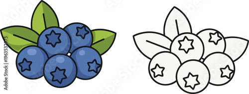 Blueberry cluster illustration set, realistic fruit drawing, outline vector artwork, black silhouette design, minimal art collection, modern berry illustration