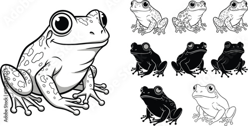 Black and White Frog Illustration Set with Detailed Line Art Cartoon Amphibian Characters in Different Poses Vector Collection for Coloring Book and Design