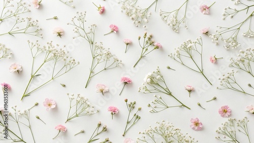 Minimalist floral background language