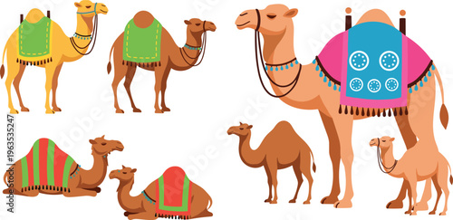 Camel Cartoon Character Set with Decorative Blankets, Standing and Sitting Poses, Desert Animals for Travel, Tourism, Culture and Kids Vector Illustration Collection