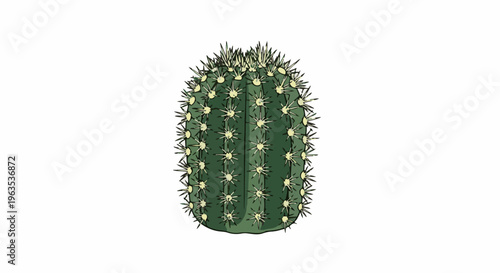 Green cactus with prominent spines, isolated on a white background