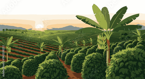 Lush, green banana and coffee plantation under a hazy sunrise