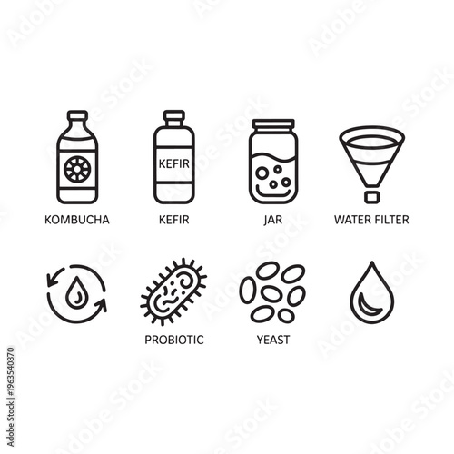 Line art icons depicting kombucha kefir and related fermentation elements