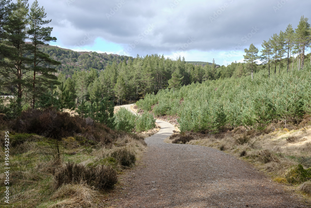 Fototapeta premium British landscapes