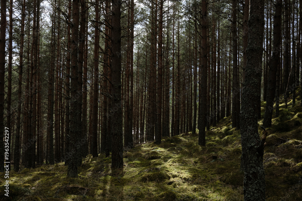Obraz premium British landscapes