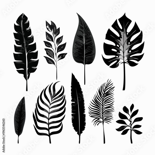 Collection of Black Silhouette Leaves Shapes.