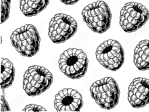 Black and White Hand Drawn Raspberry Pattern Isolated White Background fruit food