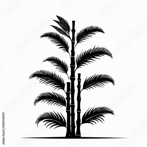 Detailed illustration of palm tree.