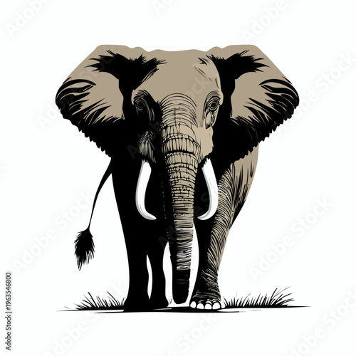 Large Elephant Standing on Grassy Field.