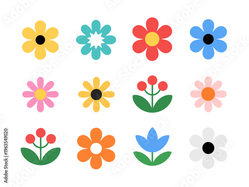 Collection of colorful flat flowers and berries white background floral nature