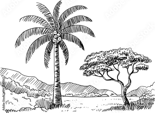 Hand drawn of a tropical landscape with a tall palm tree and a bushy acacia tree