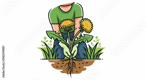 Person pulling dandelion with roots visible underground