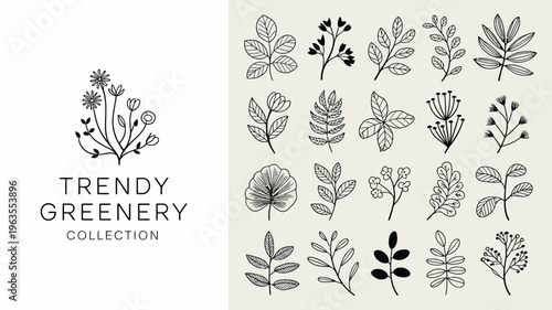 A collection of delicate hand drawn botanical illustrations featuring various leaf and floral shapes in a minimalist style high quality professional detailed modern elegant stylish clean