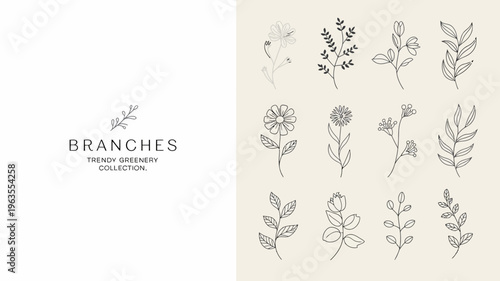 A collection of delicate hand drawn botanical illustrations featuring various branches leaves and small wildflowers in a minimalist style high quality professional detailed modern elegant stylish