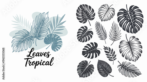 A collection of tropical leaves is displayed in a botanical style featuring monstera palm and other foliage variations high quality professional detailed modern elegant stylish clean