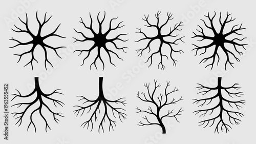 A collection of black branching silhouettes resembling bare trees or root systems arranged in a grid on a neutral gray background high quality professional detailed modern