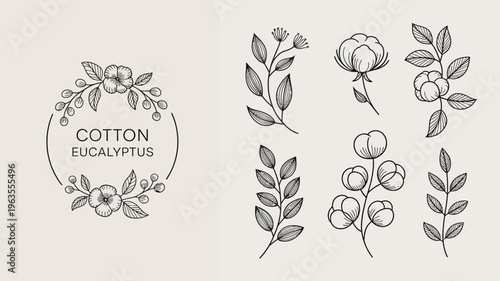 A delicate floral arrangement depicts cotton and eucalyptus branches in a minimalist hand drawn style perfect for branding or decorative purposes high quality professional detailed modern