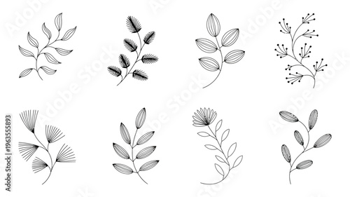A collection of delicate hand drawn botanical illustrations featuring various plant sprigs and leafy branches in a minimalist style high quality professional detailed modern elegant stylish