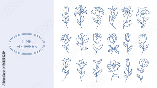 A collection of delicate minimalist line drawings showcases various blooming flowers and budding stems arranged on a light blue background high quality professional detailed modern elegant