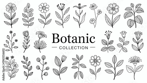 A collection of delicate hand drawn botanical illustrations featuring diverse flower and leaf types arranged on a plain white background high quality professional detailed modern elegant