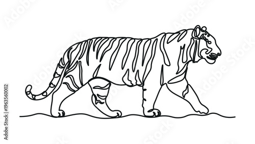 a black and white drawing of a tiger walking on the ground with its mouth open