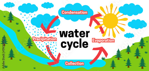 Obraz na plátne Water Cycle Illustration of Preciptation, Collection, Evaporation and Condensati