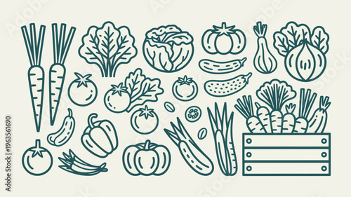 A vibrant collection of line art vegetables including carrots lettuce cabbage pumpkins and tomatoes arranged with a wooden crate high quality professional detailed modern elegant stylish