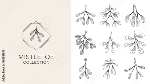 A collection of delicate hand drawn mistletoe sprigs and branches are displayed showcasing botanical illustrations in a minimalist style high quality professional detailed modern elegant stylish