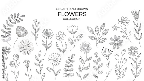 A collection of delicate hand drawn flowers and botanical elements is displayed in black and white showcasing various floral shapes and leafy stems high quality professional