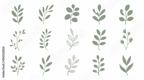 A collection of delicately illustrated green leaves and sprigs are arranged on a plain white background creating a botanical study high quality professional detailed modern elegant