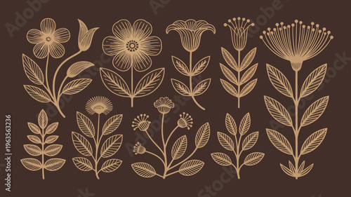 A collection of delicate hand drawn floral illustrations in a muted golden tone are displayed against a solid brown background high quality professional detailed modern elegant