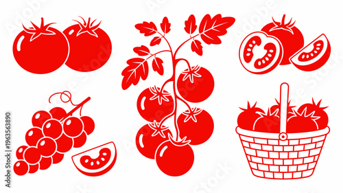 A vibrant stylized illustration depicts a collection of red tomatoes in various forms whole halved and in a basket high quality professional detailed modern elegant stylish