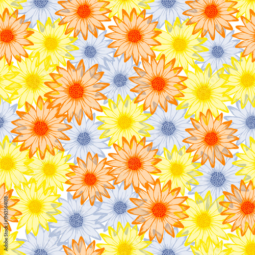 Chrysanthemum pretty vector repeat pattern. Camomile daisy blossom with transparent petals. Decorative garden flowers scrapbooking swatch. Adorable natural ornament.