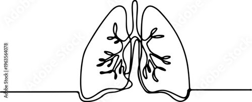 lungs with bronchial tree, human anatomy illustration