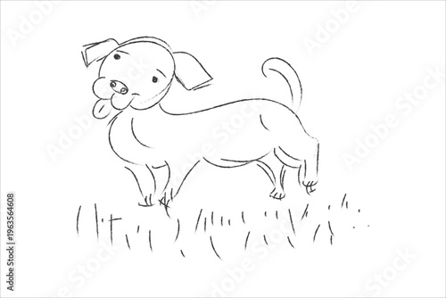 A playful dog standing in a field of grass