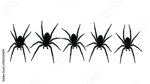Silhouette of five black spiders