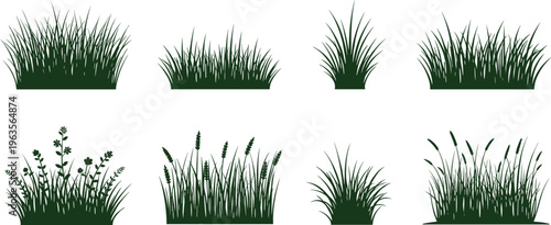 Green grass silhouette vector set featuring various meadow plants bushes and floral weeds for nature landscape design and architectural visualization