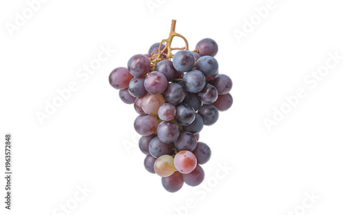Bunch of ripe, colorful grapes with a shallow depth of field, isolated on a white background, still life
