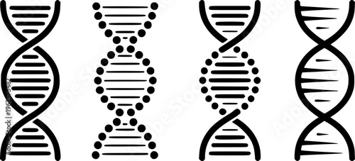 Stylized black D N A helix a white background representing genetic science biology