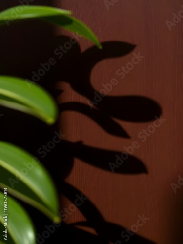 Abstract Shadows of Green Leaves Cast on a Textured Brown Surface, Close-up Detail