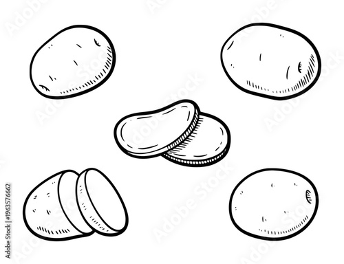 Hand Drawn Black and White Potato Whole Sliced and Cut into Chips White Background