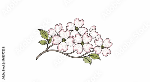 A cluster of delicate pink and white dogwood flowers with green leaves