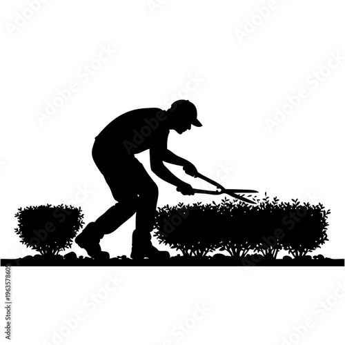 silhouette of man pruning bushes with shears outdoors